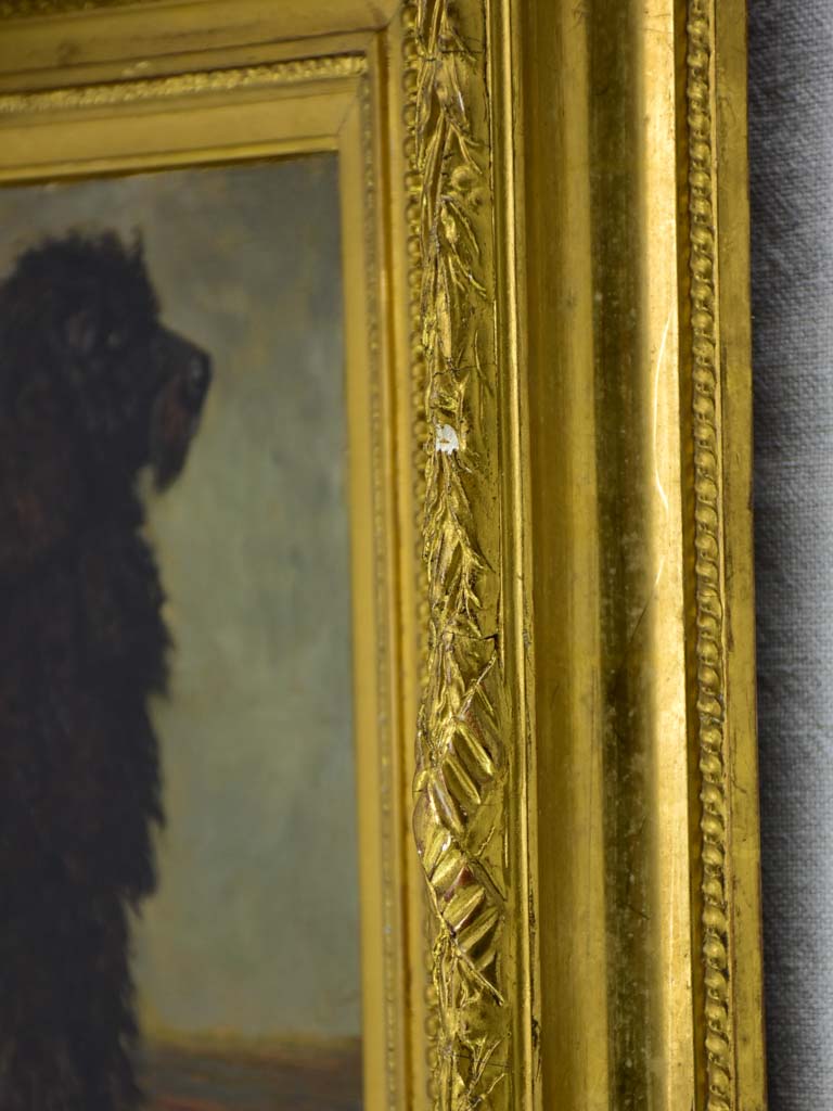 Portrait of a poodle named Capi -  Raymond Desvarreux (1876-1961) 17" x 14½"