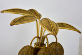 Mario Lopez Torres coconut tree lamp - 3 lights