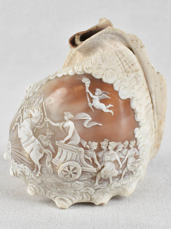Classic Inspired 19th Century Shell Carving