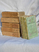 Collection of nine antique French books