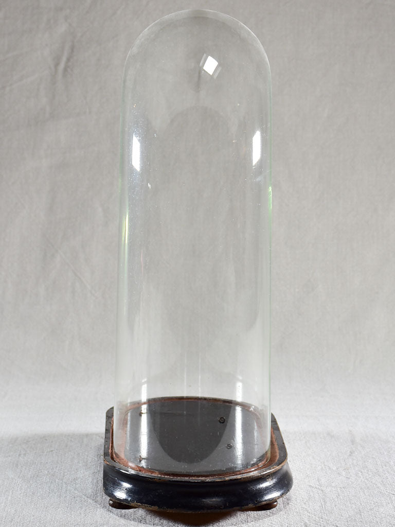 Napoleon III carafe in a glass dome