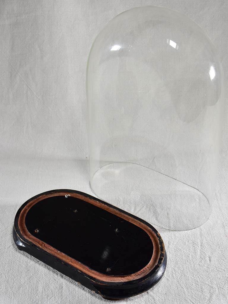 Napoleon III carafe in a glass dome