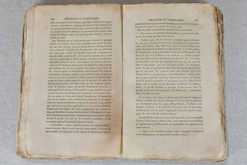 Collection of 21 antique books by Walter Scott - translated into French 8¾"