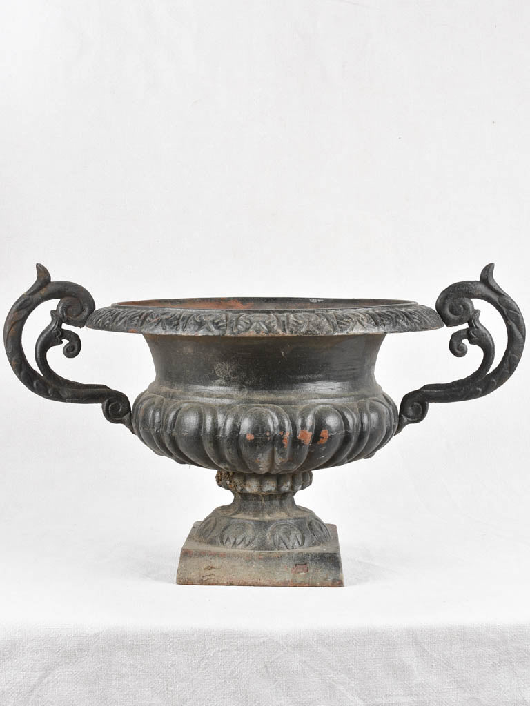 Pair of large black Medici urns with large handles