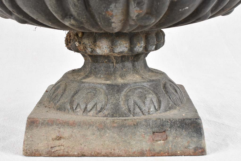 Pair of large black Medici urns with large handles