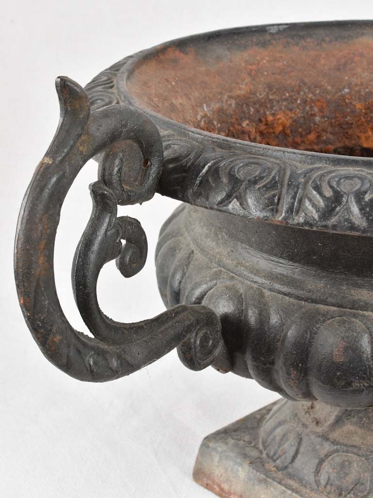 Pair of large black Medici urns with large handles