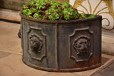 Pair of 19th century French lions head planters