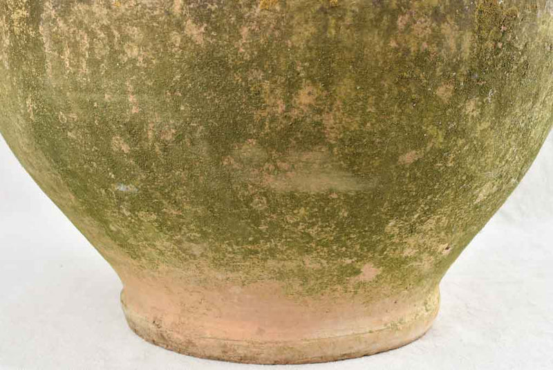 Antique French olive jar - 24½"