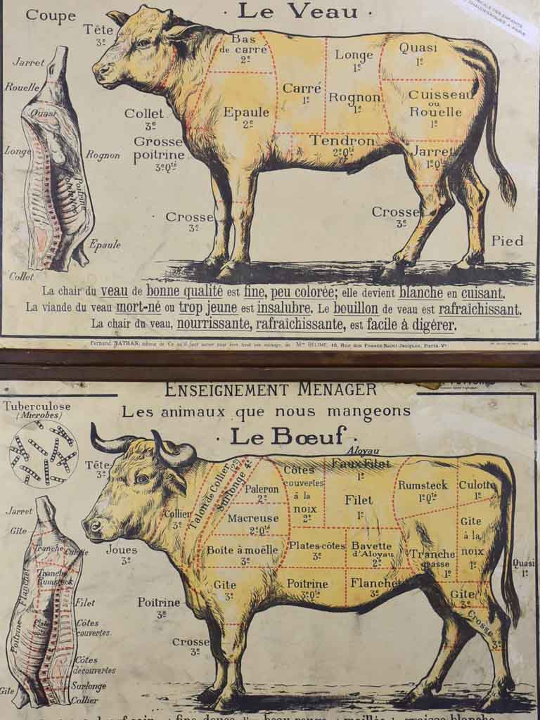 Antique French butcher's cut charts - beef and veal