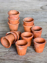 Collection of 12 miniature terracotta seed pots
