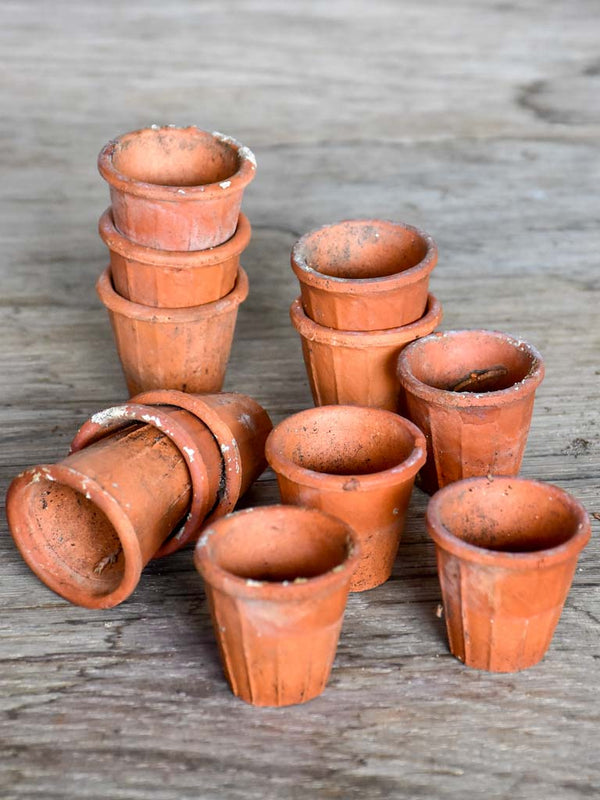 Collection of 12 miniature terracotta seed pots
