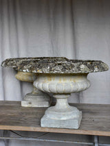 Pair of early 20th Century Chambord garden planters  - concrete