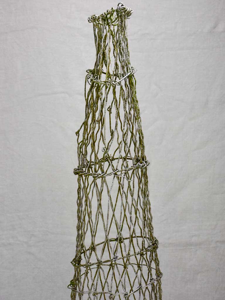 Wire Topiary Two wire topiary training frames 63½