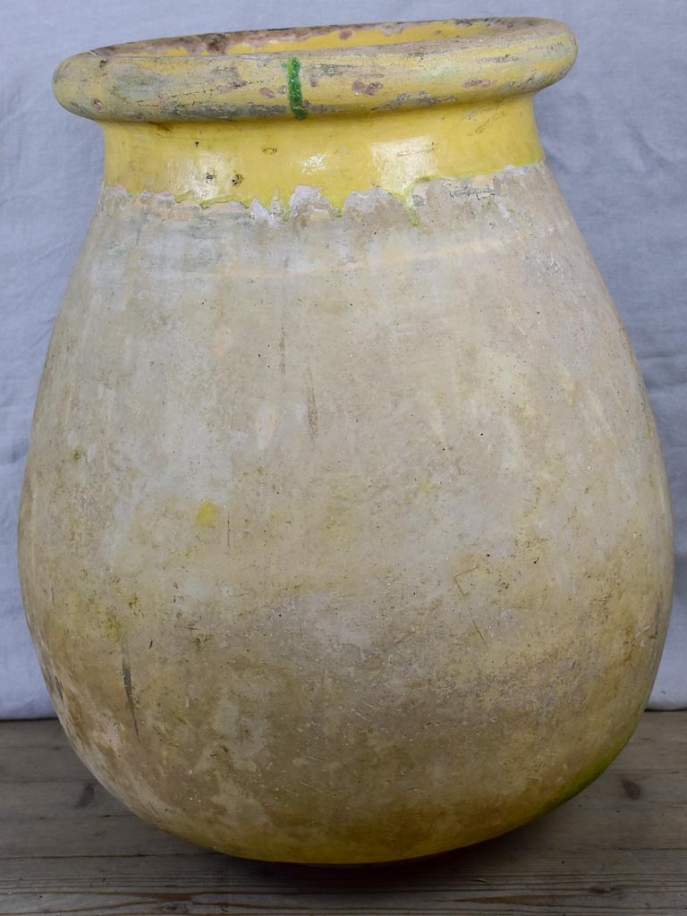 19th Century French Biot olive jar 27½"
