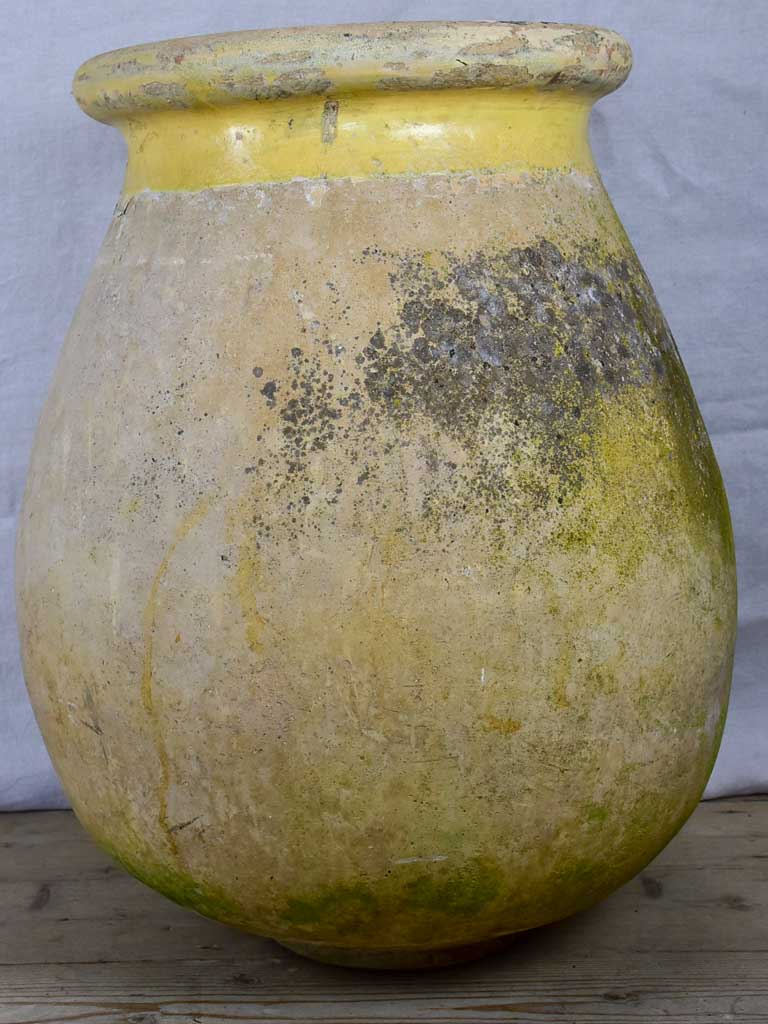 19th Century French Biot olive jar 27½"