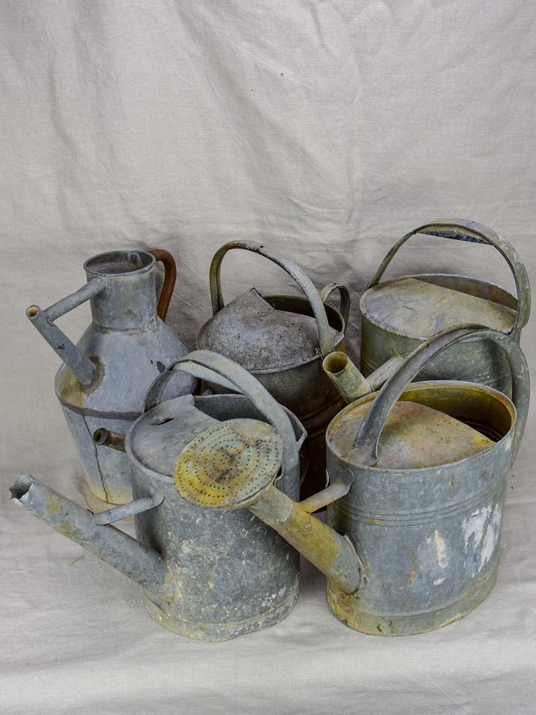 Collection of five antique zinc watering cans