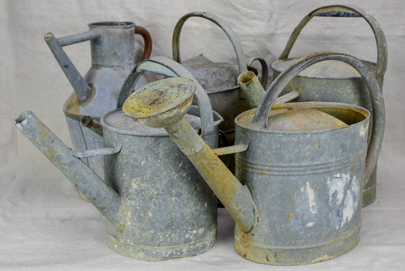 Collection of five antique zinc watering cans