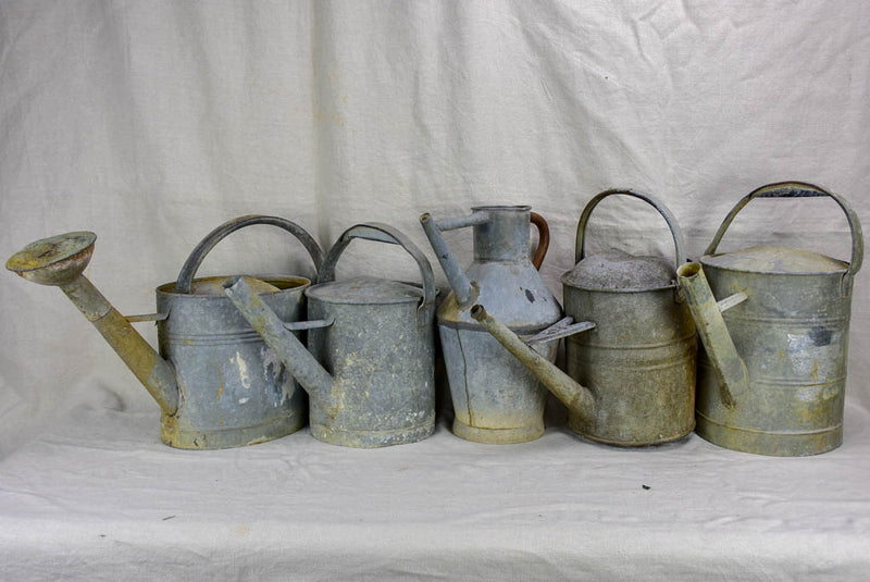 Collection of five antique zinc watering cans