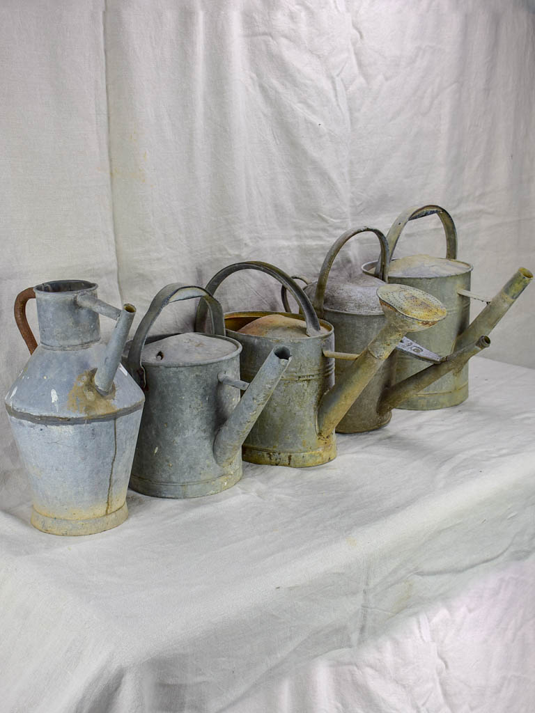 Collection of five antique zinc watering cans