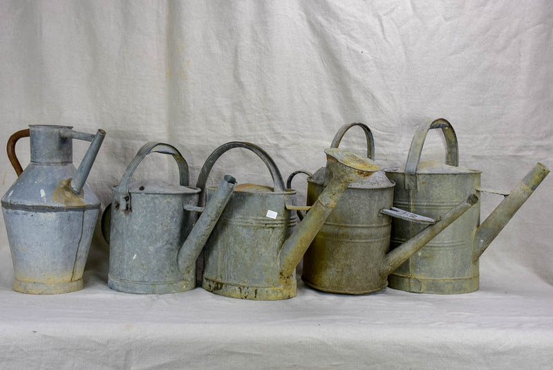 Collection of five antique zinc watering cans
