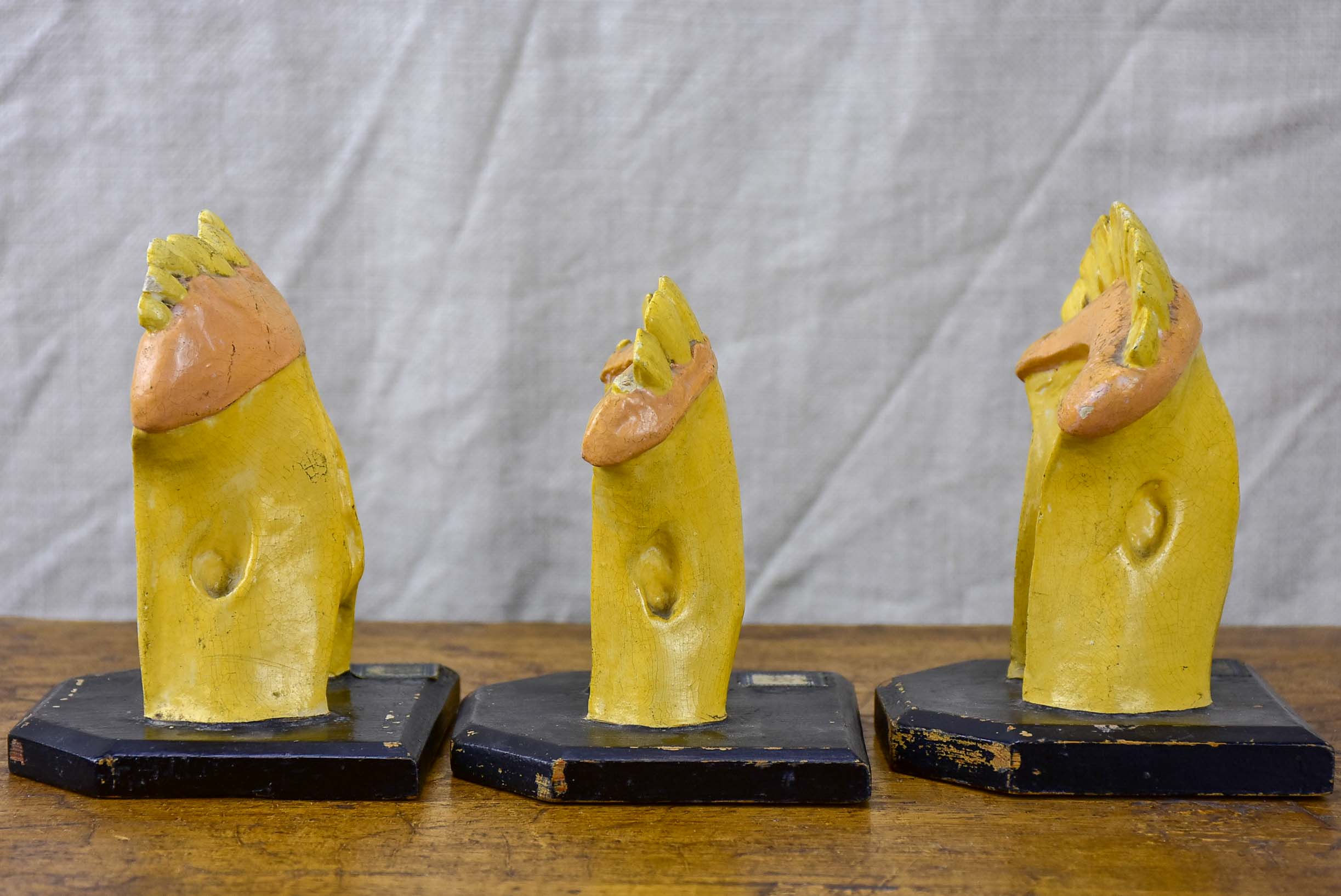Three antique horse teeth molds from a Veterniary school