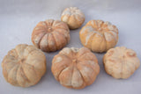 Collection of six terracotta pumpkin decorations
