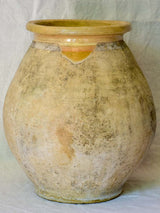 Small early 20th Century French Biot olive jar 18"