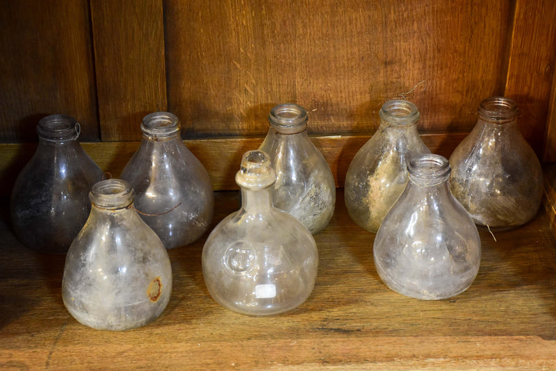 Collection of 5 antique French fly trap bottles