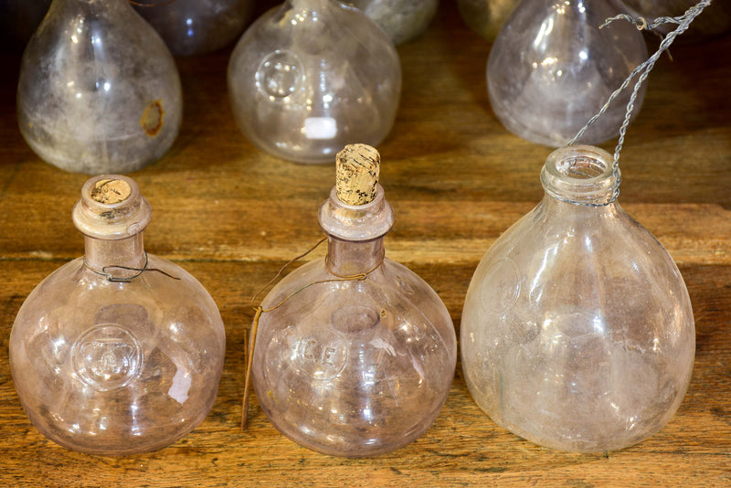 Collection of 5 antique French fly trap bottles