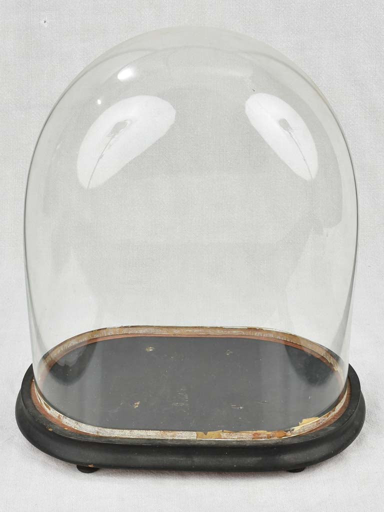 Napoleon III marriage dome - 17¼"