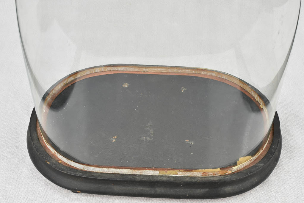 Napoleon III marriage dome - 17¼"