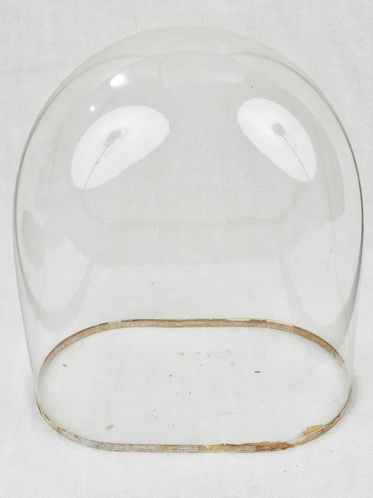 Napoleon III marriage dome - 17¼"