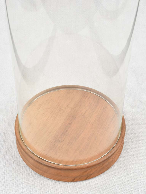 Vintage display glass Dome with brown wooden base - round 15"