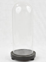 Napoleon III glass display dome - 12½"