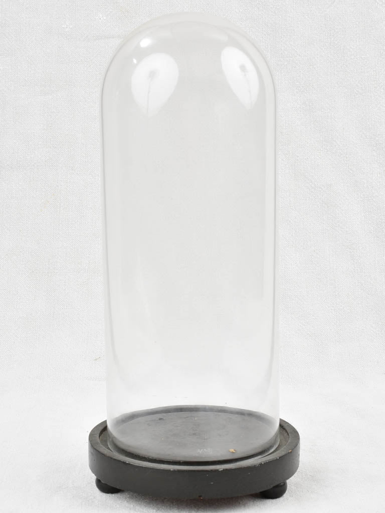 Napoleon III glass display dome - 12½"