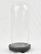 Napoleon III glass display dome - 12½"