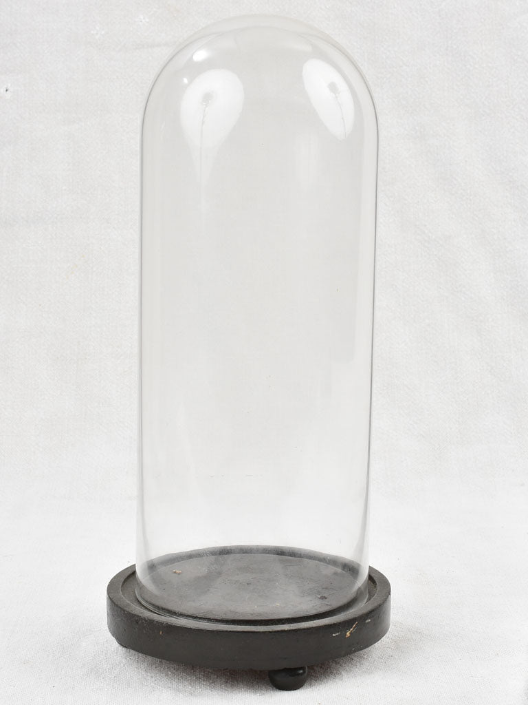 Napoleon III glass display dome - 12½"
