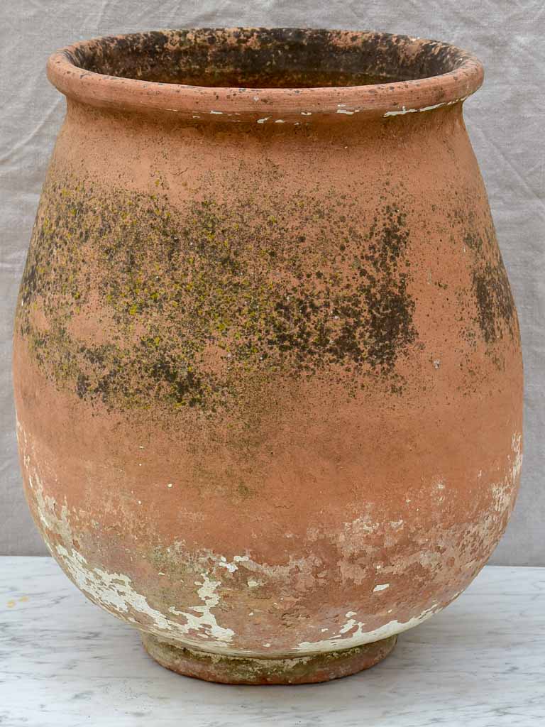Vintage terracotta planter / oil jar