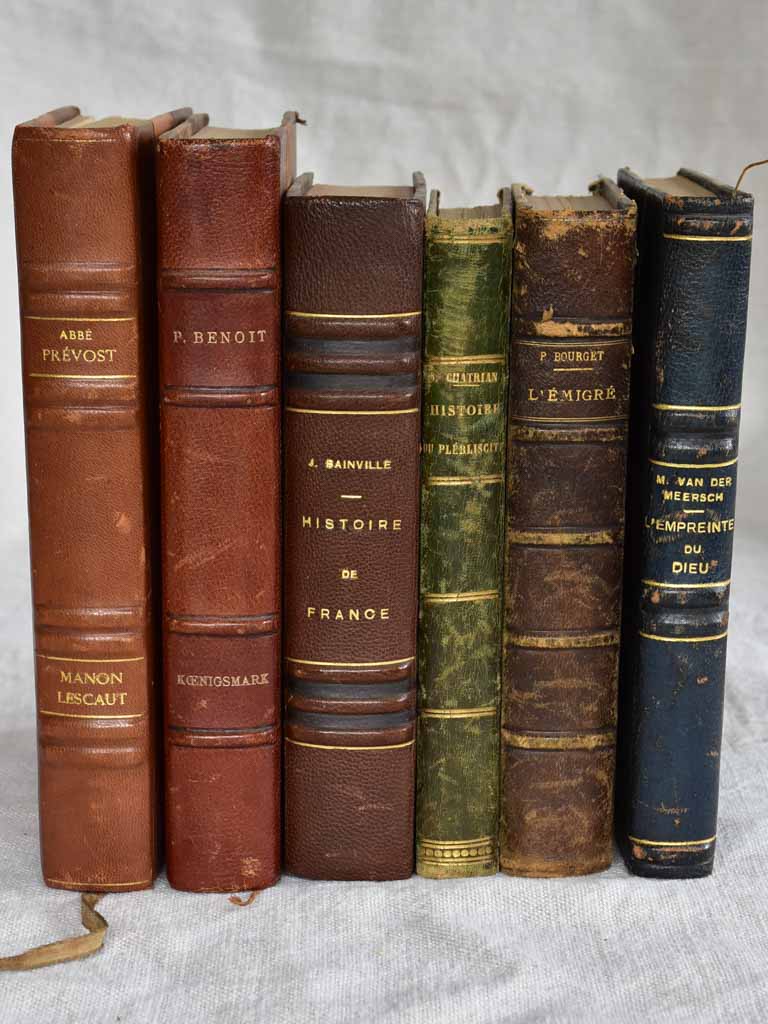 Mixed collection of six antique French leather bound books