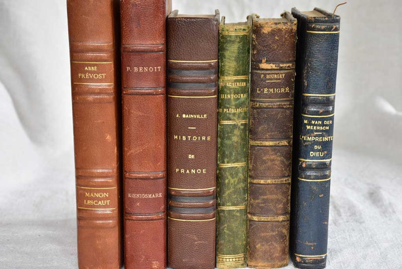 Mixed collection of six antique French leather bound books