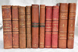 Mixed collection of ten antique French leather bound books