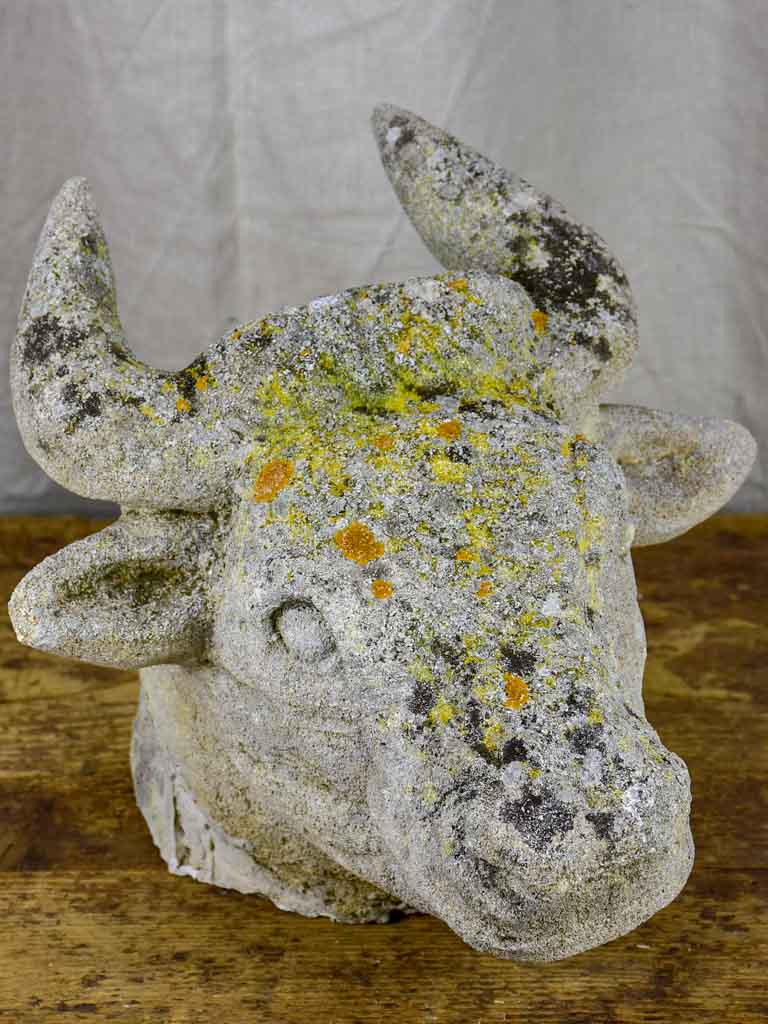 Antique French cow's head - architectural salvage