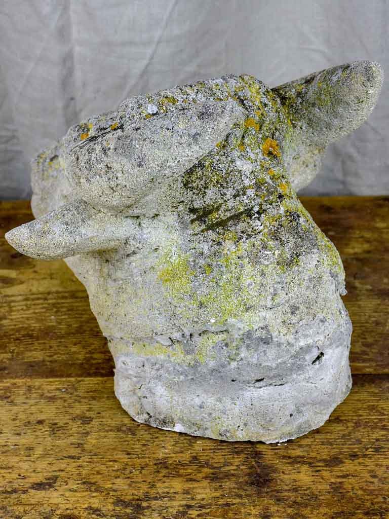 Antique French cow's head - architectural salvage