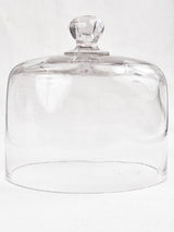 Vintage stylish clear glass food cover