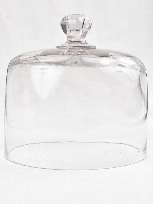 Vintage stylish clear glass food cover
