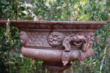 Pair of 19th century French garden urns with brown patina