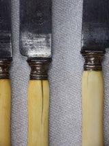 Collection of 17 antique French knives with bone handles