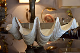 Giant clamshell swan by Gabriella Binazzi
