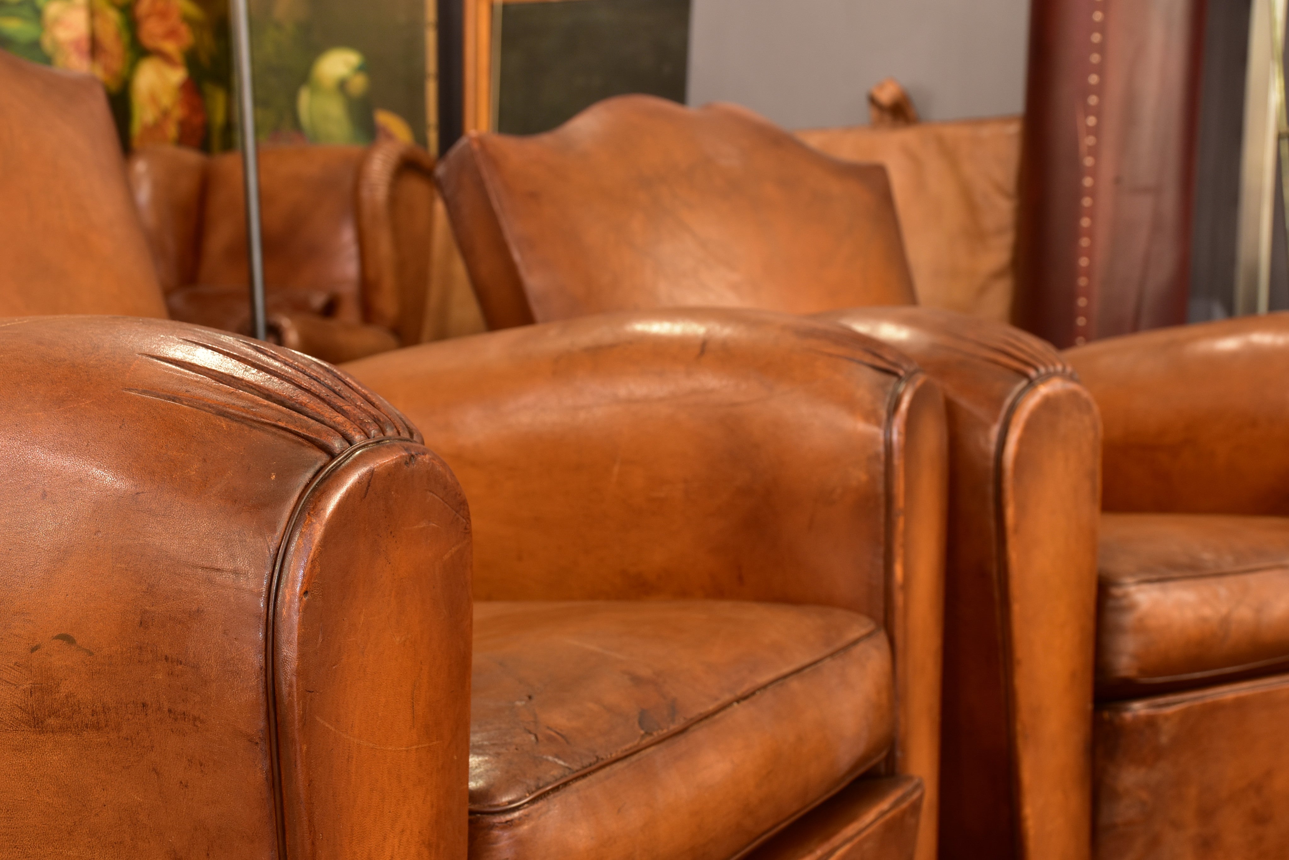 Pair of mustache back vintage French club chairs