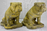 Pair of antique French garden sculptures of bulldogs 15¼"